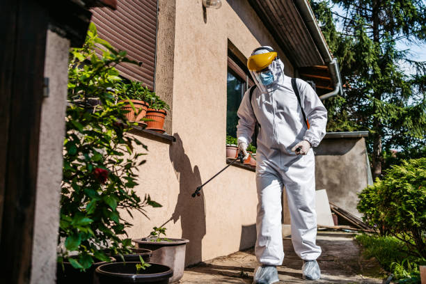Best Residential Pest Control  in Broadlands, VA