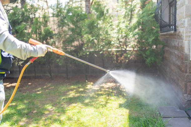 Best Flea Control Services  in Broadlands, VA