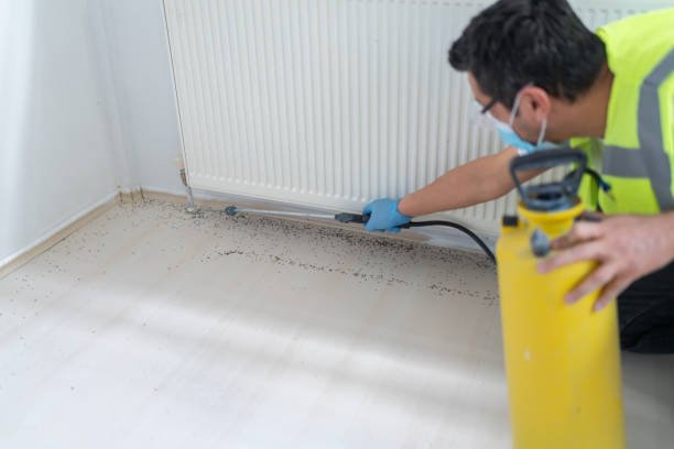 Best Ant Control Services  in Broadlands, VA