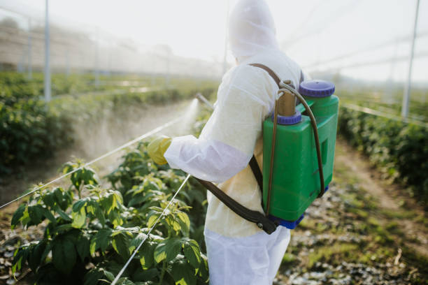 Trusted Broadlands, VA Pest Control Experts